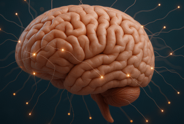 Glioblastoma vs Astrocytoma Comprehensive GBM Patient Guide